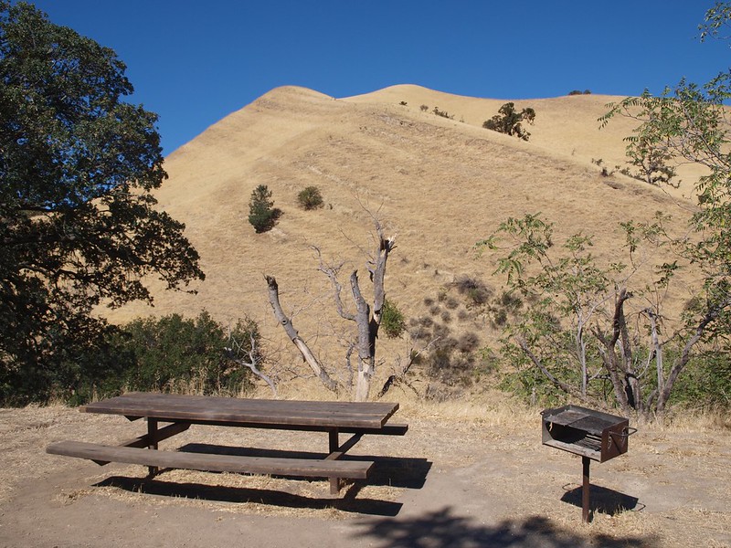Black Diamond Mines Regional Preserve