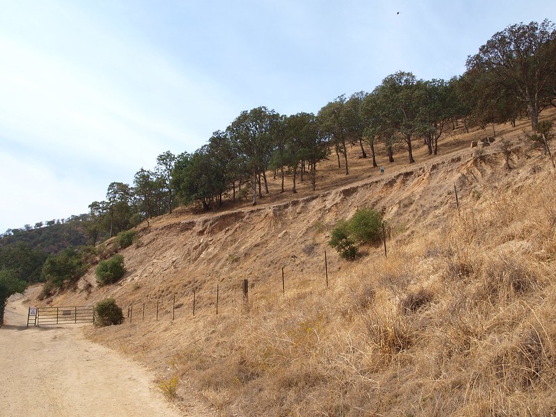 Diablo Foothills Regional Park